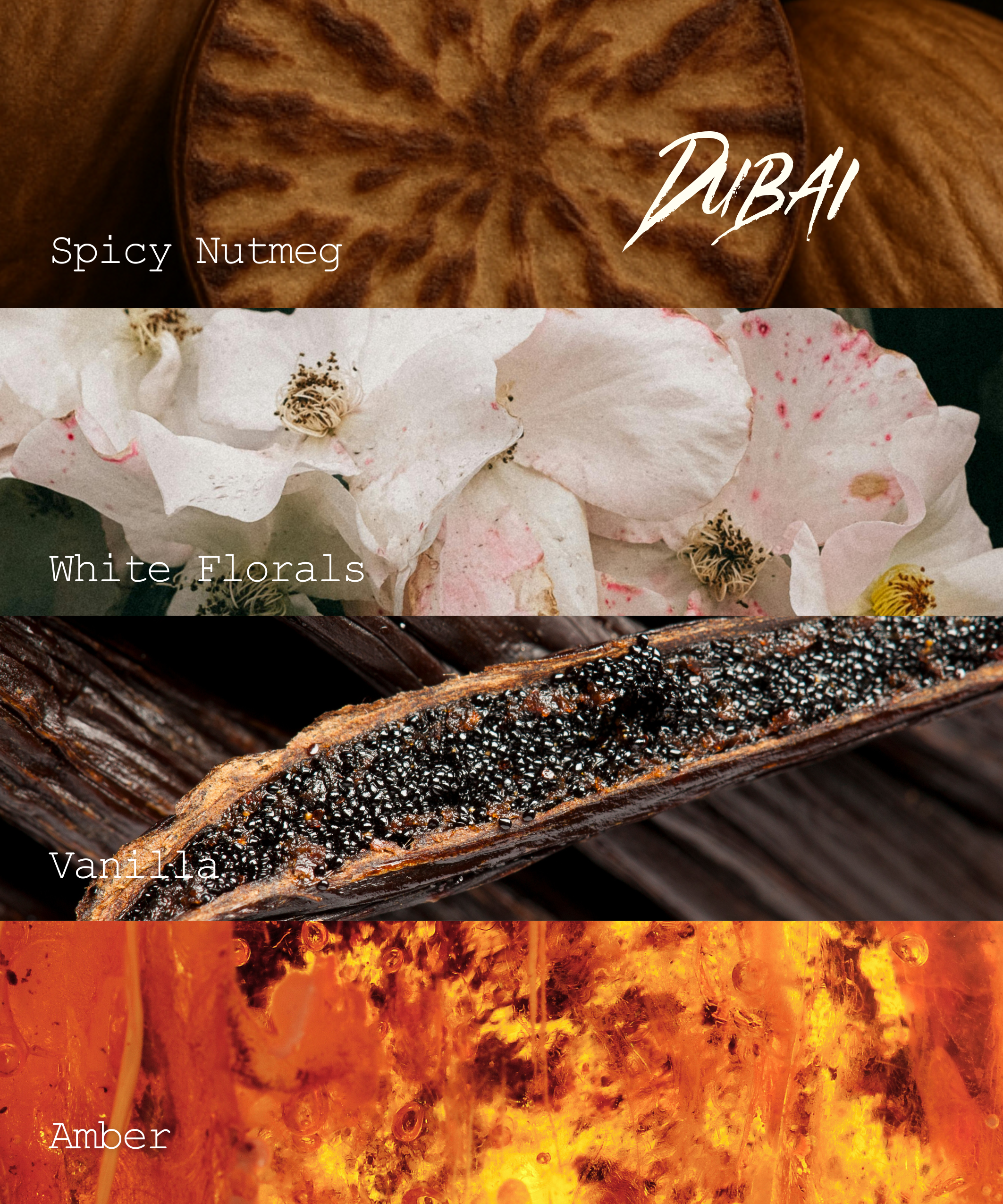 PEYTON CHARLES | DUBAI LIMITED EDITION BODY CARE COLLECTION