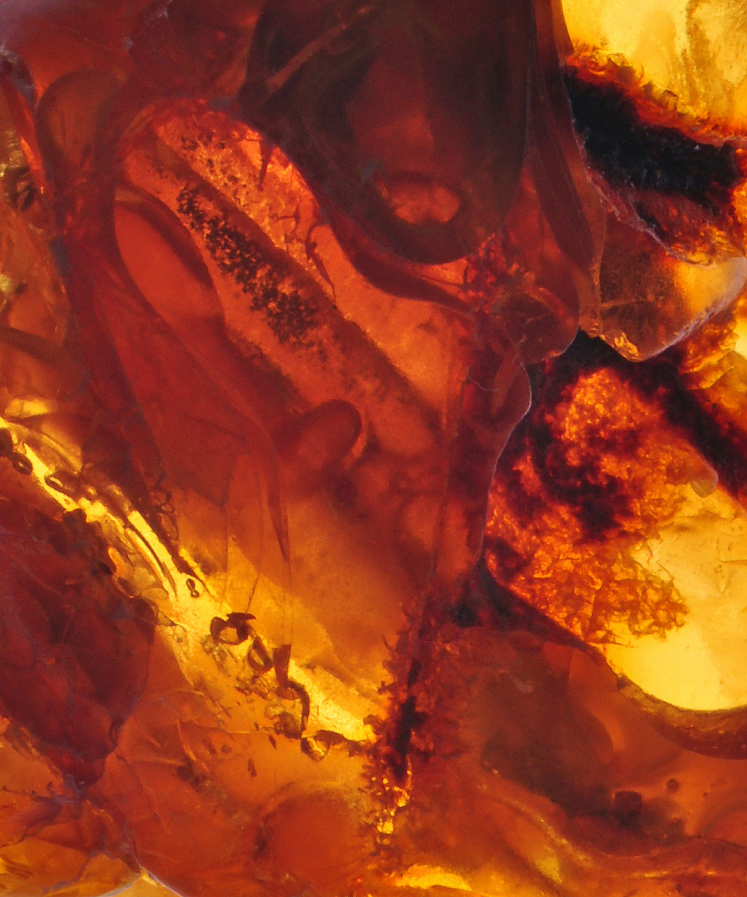 LUXURY BODY LOTION | DISCOVERY SET